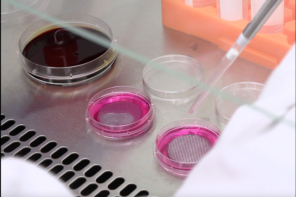 Os pesquisadores desenvolveram a pomada ao longo de 10 anos. Foto: Reprodução/Freepik.