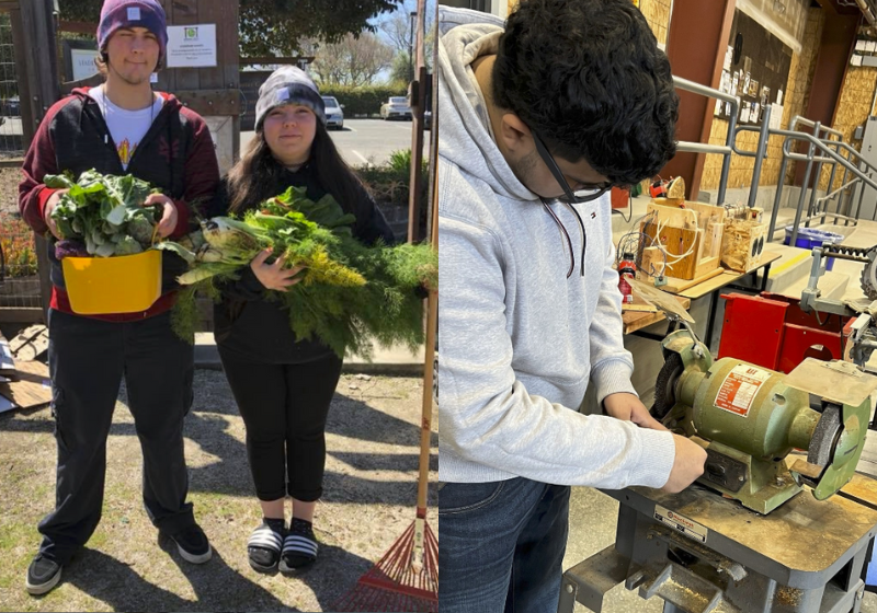 O projeto tem se tornado um modelo para outros programas semelhantes nos Estados Unidos. - Foto: reprodução/ Instagram @ranchocieloyouth