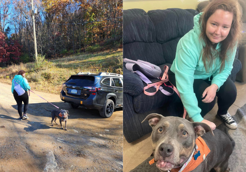 Kaitlyn diz que a coincidência era como um sinal de aprovação do antigo cachorro, Jo. Foto: reprodução/ Facebook Animal Resource Center