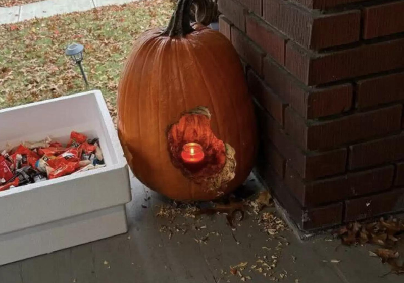 O esquilo bagunceiro deixava sobras espalhadas pela varanda. Foto: reprodução/arquivo pessoal 
