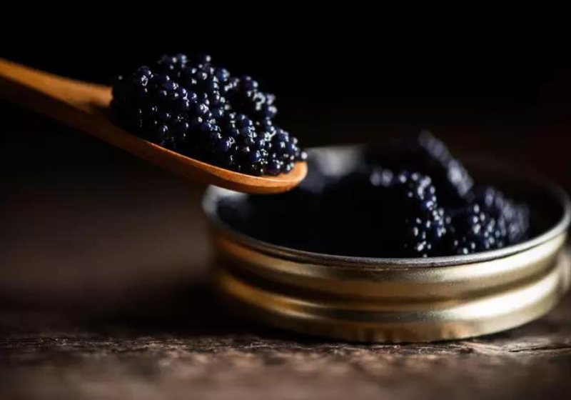 No novo método, a extração do caviar é feita com uma massagem na barriga, sem precisar matar o peixe, que já têm 27 espécies em extinção. - Foto: Fabio Balbi/iStock