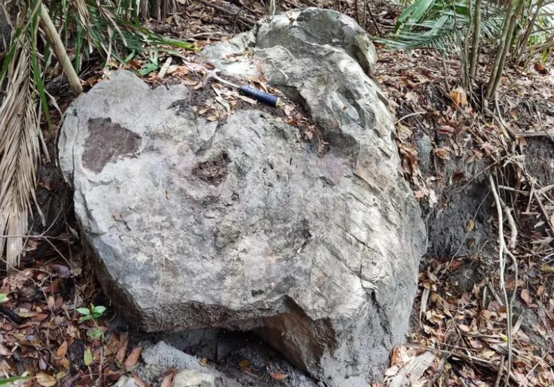  Em 2016, um levantamento já havia apontado a descoberta de mais de 70 troncos petrificados na área de Altos - Foto: reprodução/arquivo pessoal/Juan Cisneros 