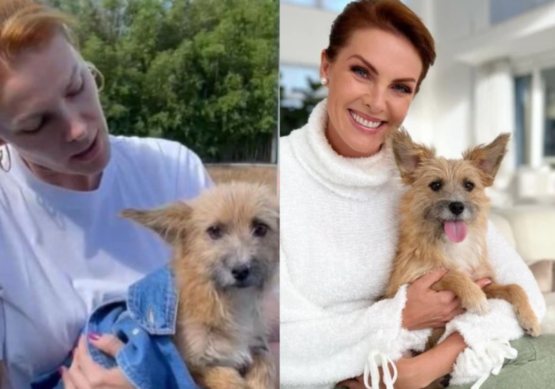 Ana Hickmann conta que para se proteger, ela gritou para o cachorro “pegar” o marido. - Foto: reprodução/ Instagram @Ana Hickmann