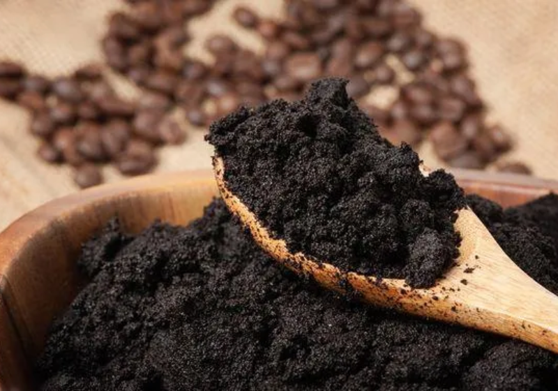 Coffee grounds could become a medicine against Parkinson’s disease