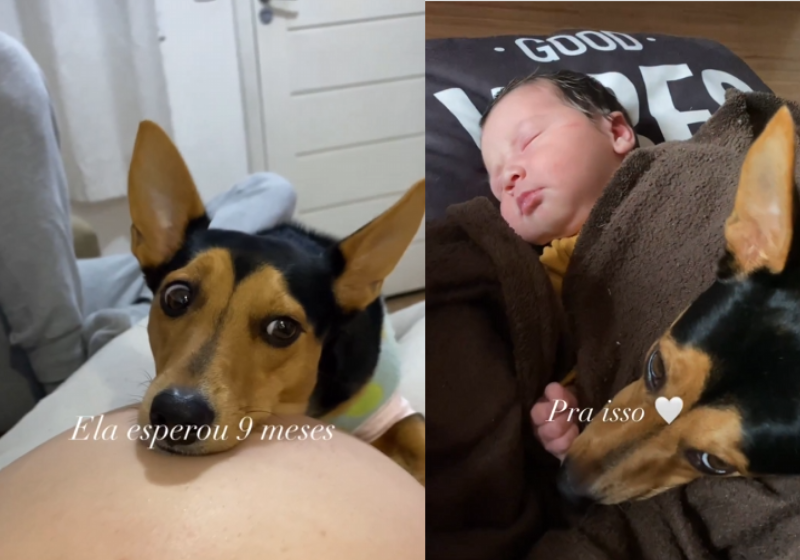 A cachorrinha Olívia, que acompanhou a gestação da tutora, foi promovida a irmã mais velha com o nascimento da bebê Joana. - Foto: Reprodução/Instagram/@juluongo.