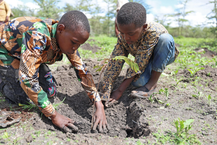 Várias crianças participaram da ação. Foto: Reprodução/ X William Samoei Ruto.