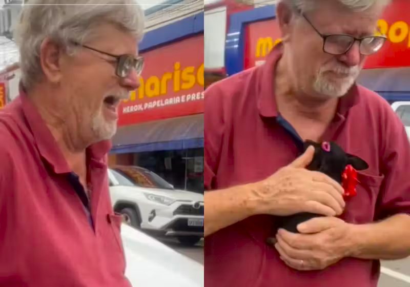 A filha deu de presente para o pai, idoso e triste, um filhote de pinscher. Ele não segura a emoção e chora no vídeo. - Foto: reprodução/Tiktok/@lauradoartegjo