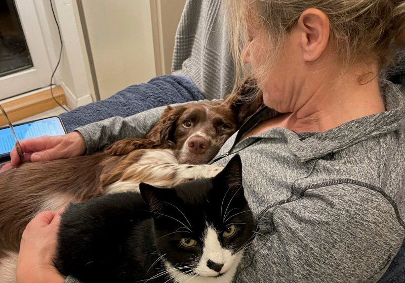 A mamãe Michele tá super orgulhosa pela cachorrinha. Olha que gracinha os três juntos! Foto: Reprodução/Michele Rose.