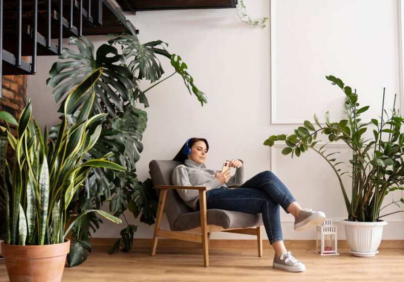 Casa com planta é casa fresquinha! As folhas verdem purificam o ar e retiram calor do ambiente. Foto: Reprodução/Freepik;