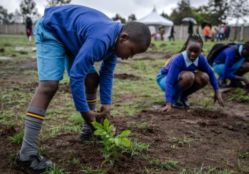 O Quênia criou um feriado nacional para plantar árvores e o resultado deu super certo! Foto: Reprodução/Luis Tato (AFP).