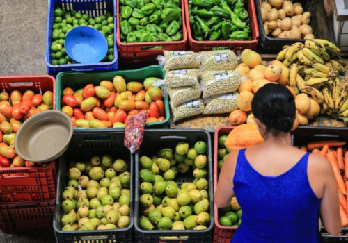 A Reforma Tributária aprovada traz no texto alimentos e remédios com isenção. Foto: Reprodução/Fabiane de Paula