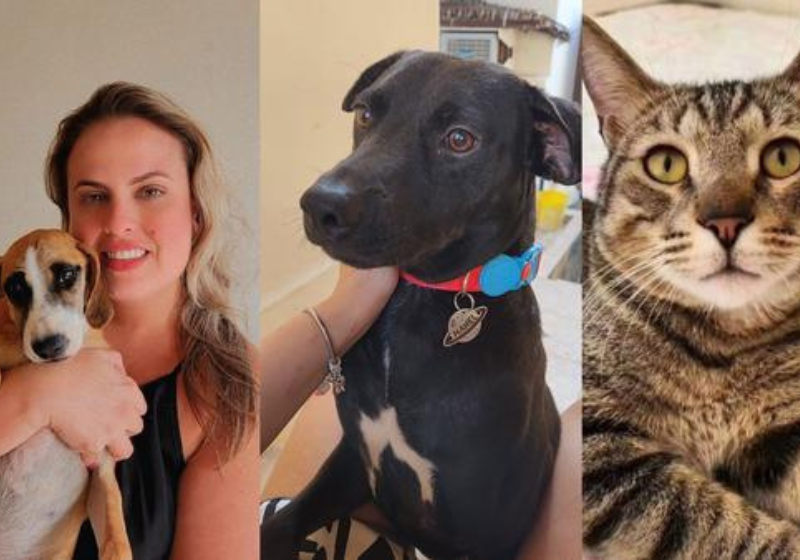 Além dos pacientes humanos, a enfermeira se dedica a cuidar de bichinhos resgatados das ruas do Espírito Santo. Foto: Reprodução/Arrquivo pessoal.