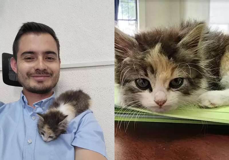 O professor Martin cuidou do gatinho para que a aluna pudesse fazer a prova e o vídeo com a cena viralizou nas redes sociais. - Fotos: Reprodução/Martin Adão.