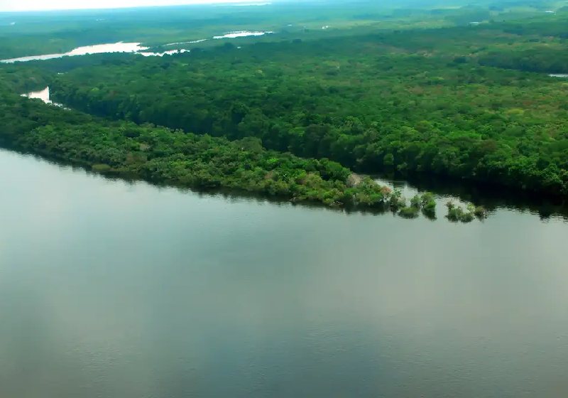 Os acordos fechados entre Brasil e alemanha para proteção das florestas e do meio ambiente soma R$ 550 milhões - Foto: Mario Oliveira/MTUR