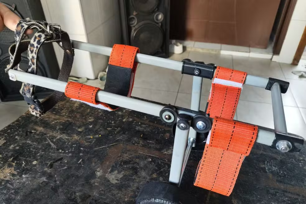  Cadeira de rodas feita por Adilson especialmente para a cadelinha. - Foto: reprodução/arquivo pessoal 