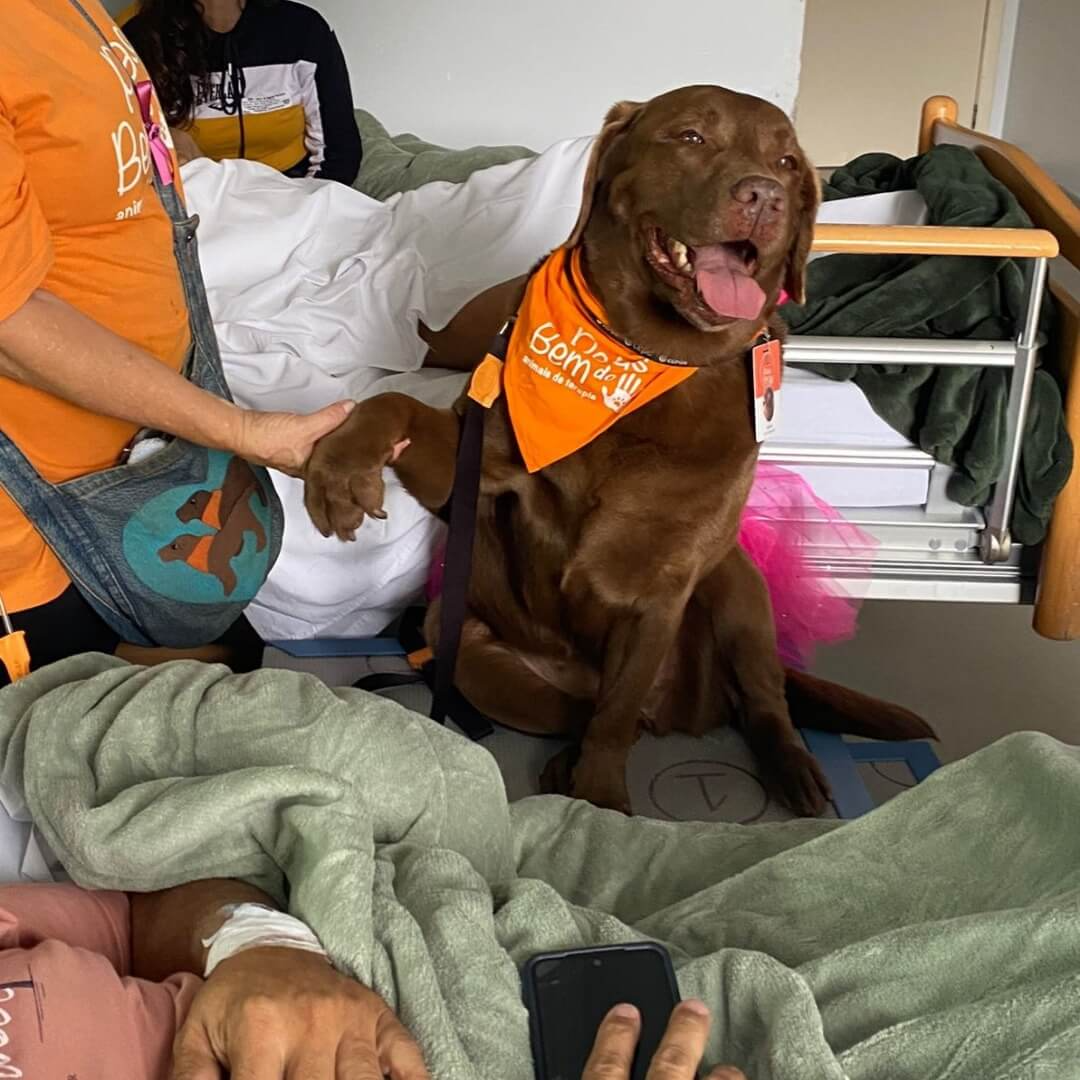 Os três cachorrinhos também se divertem, né? Olha a cara dessas fofuras!