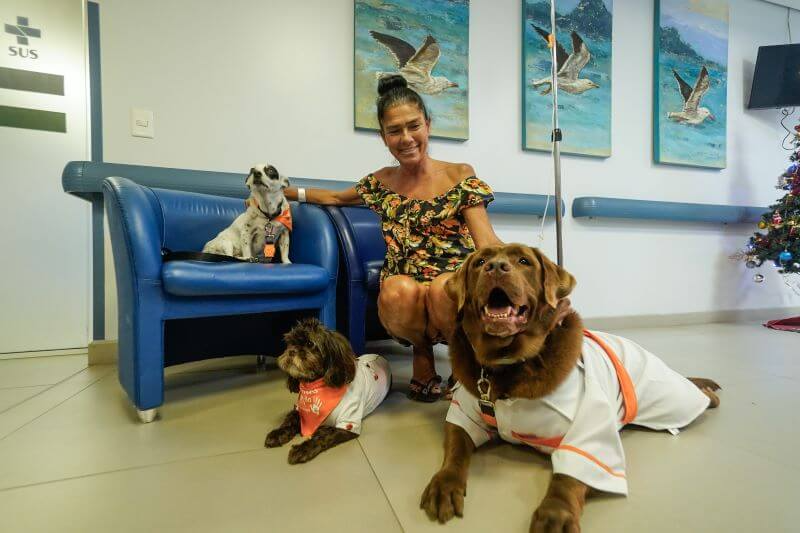 Os pacientes adoram a visita e muitos apresentam melhoras significativa. Foto: Reprodução/Marco Fávero (SecomSC).