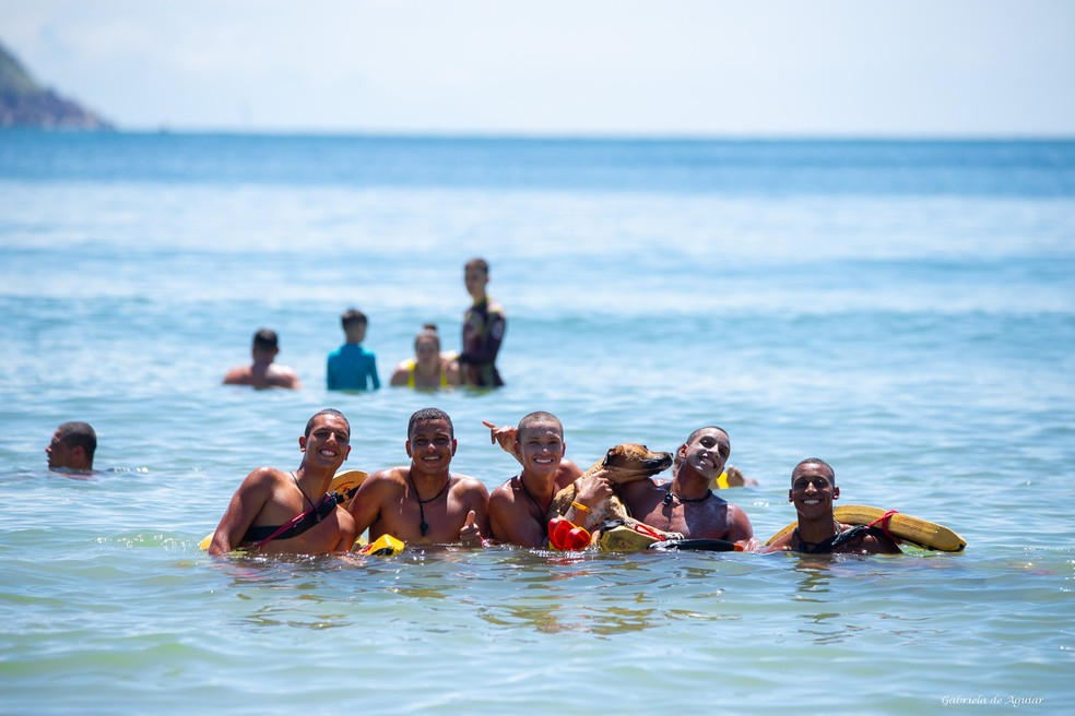 Alguém tem dúvida que esse cachorrinho caramelo é muito amado? Foto: Reprodução/Gabriela de Aguiar.