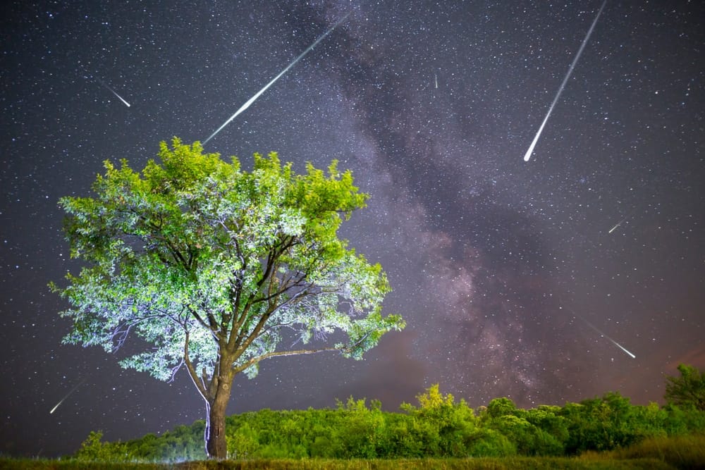 Embora seja mais fácil de ver no Hemisfério Norte, também será possível ver as luzes das estrelas cadentes no céu do Brasil. - Foto: Belish/Shutterstock 