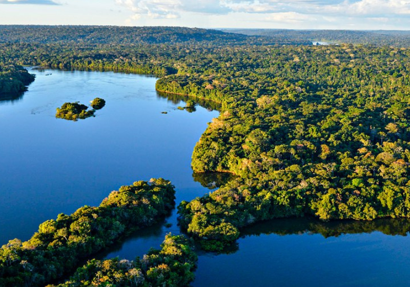O anúncio da doação milionária da Noruega ao Fundo Amazônia foi feito na Conferência das Nações Unidas sobre a Mudança do Clima - COP28. - Foto: reprodução/Adriano Gambarini