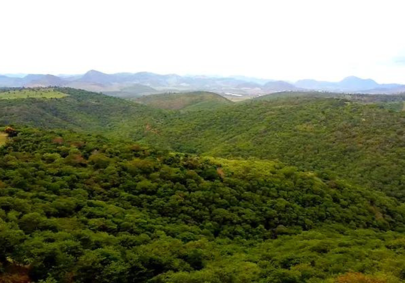 Hoje o local recebe visitas guiadas de grupos, escolas e mais. Foto: Reprodução/Odilon Amaral.