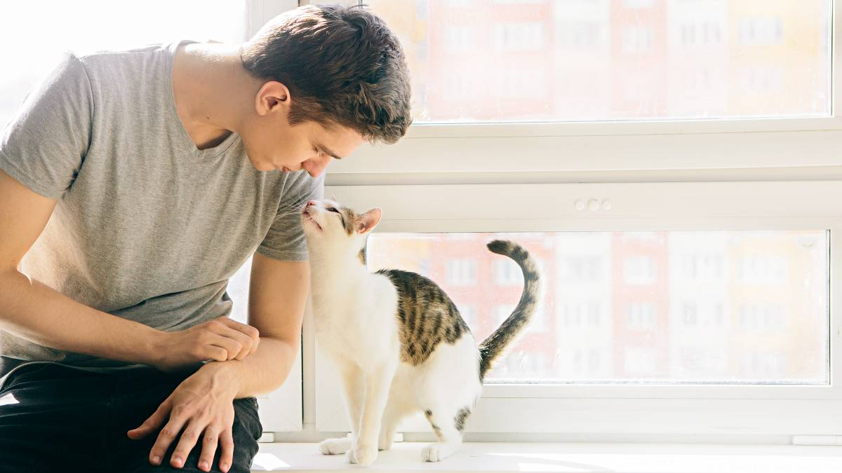 A profissão pode render entre R$ 50 a R$ 200 por atendimento! Foto: Reprodução/Shutterstock.