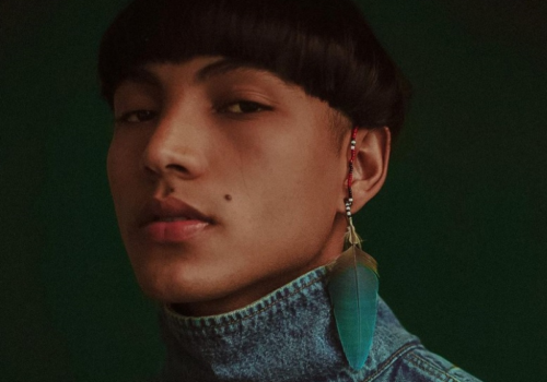 O modelo indígena brasileiro Noah Alef brilha nas revistas e passarelas do mundo. - Foto: Reprodução/Cris Vidal.