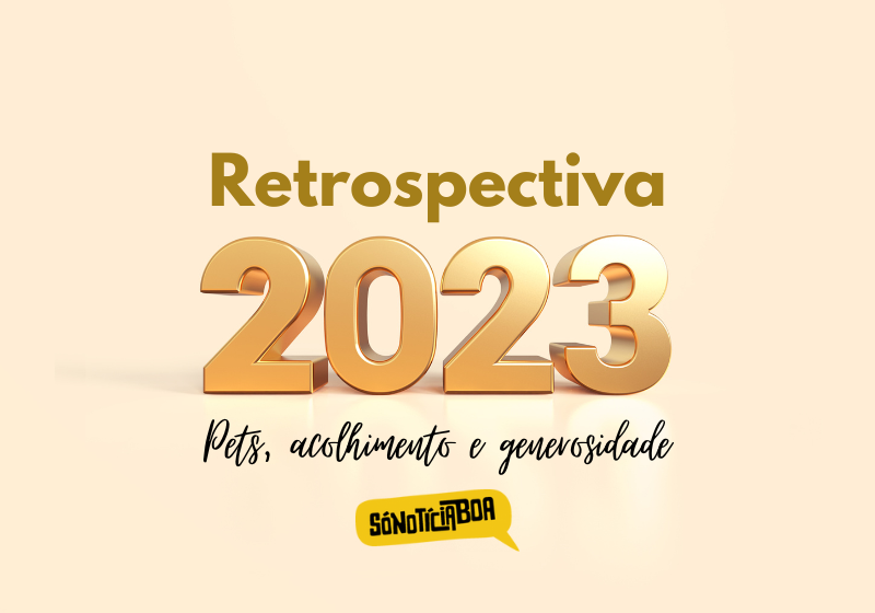 A segunda parte da retrospectiva do bem traz as melhores notícias de 2023. Veja que emocionantes! - Foto: Só Notícia Boa