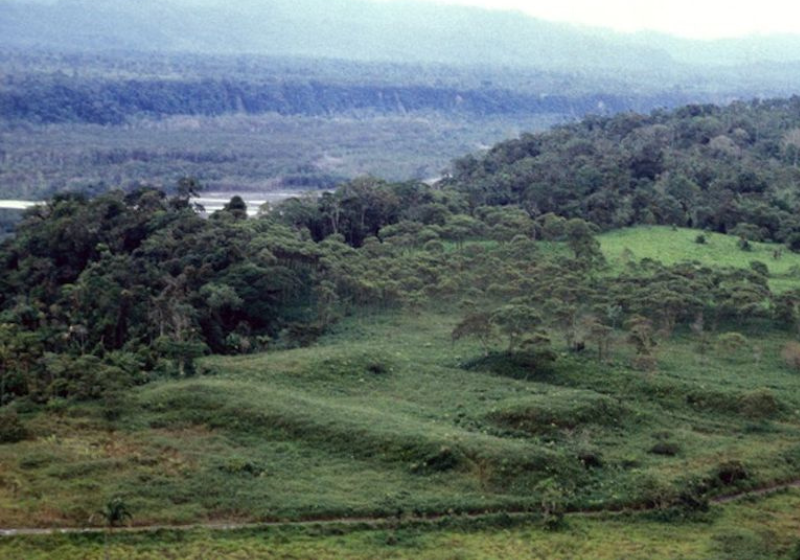 As cidades datam de pelo menos 2.500 anos e foram descobertas na floresta Amazônia, em sua parte equatoriana. Foto: Stéphen Rostain.