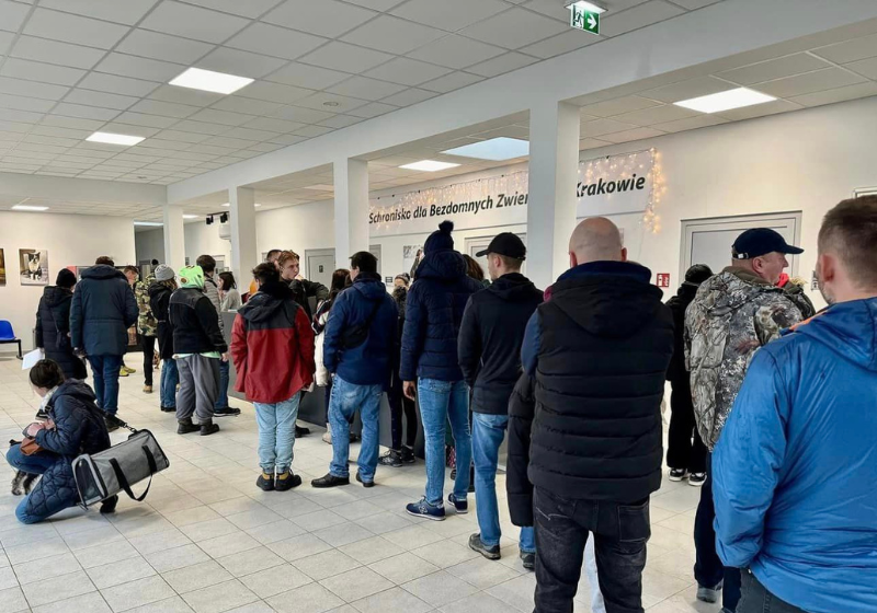 Centenas de pessoas ficaram na fila para salvar cães do frio, no abrigo com temperatura de 20 graus abaixo de zero na Cracóvia. Foto: KTOZ Schronisko.