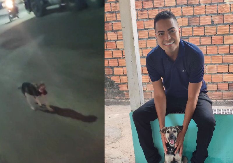 O casal de moto parou na rua para ajudar o cãozinho que os seguia. Ele foi adotado e batizado como Seguidor. - Foto: @henriquesantospa/TikTok.
