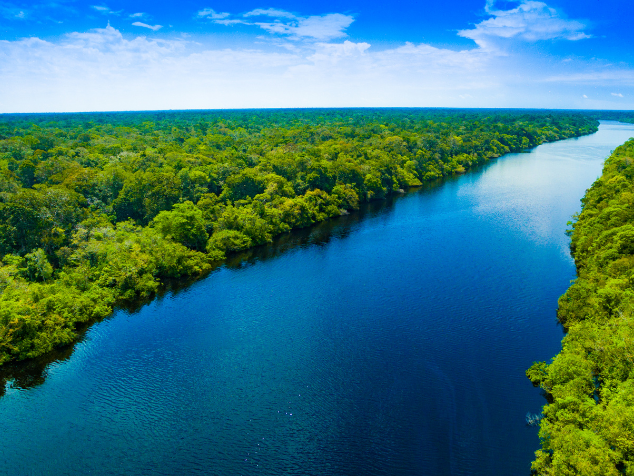 O desmatamento na Amazônia despencou em 2023! As áreas protegidas tiveram uma queda de 73% em comparação com o ano anterior. Mas é ainda é preciso melhorar.- Foto: reprodução/Getty Images