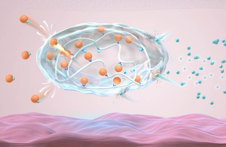 A formulação injetável de insluna se mostrou bem responsiva à glicose. Foto: Universidade de Zhejiang.