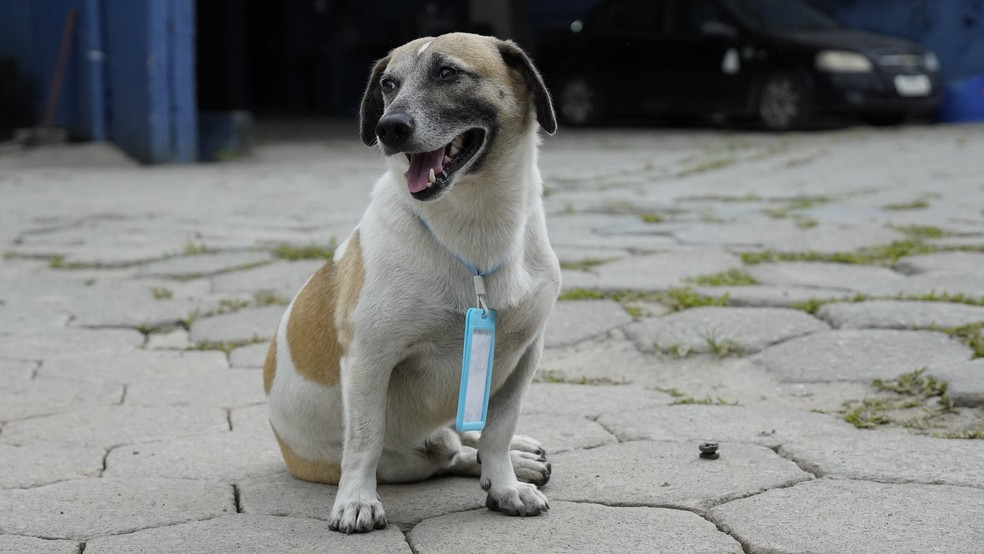 Rafael já mora no Complexo há quase sete anos. Foto: Hygor Abreu (Prefeitura de Guarujá).