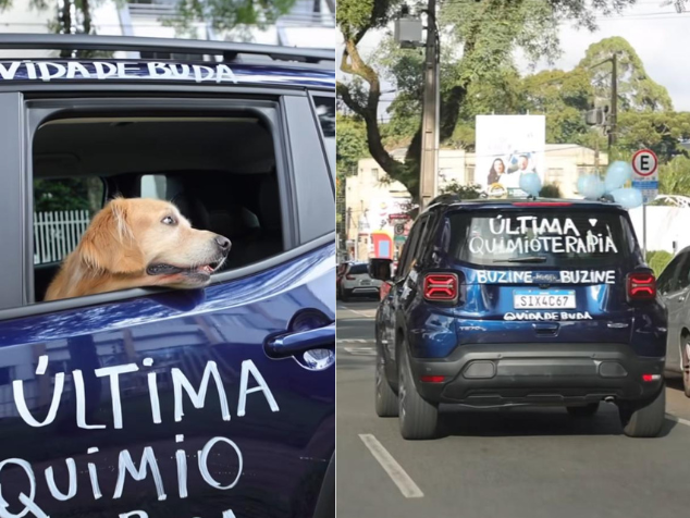 Depois da última quimio, o golden batizado como Buda, venceu o câncer e ganhou um super buzinaço nas ruas . Ele emocionou muita gente com sua carinha fofa na janela do carro. - Foto: reprodução/ TikTolk @vidadebuda