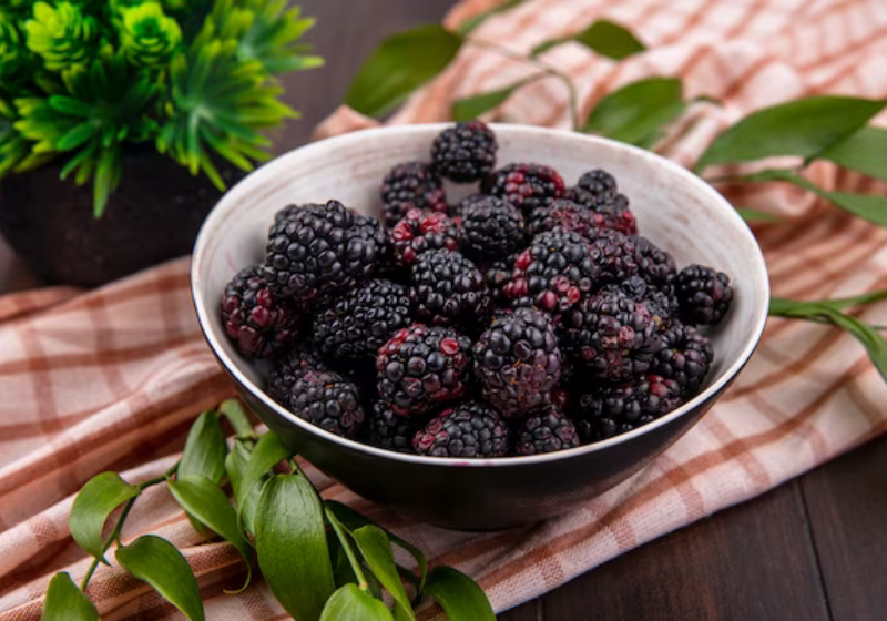 A amora comprovadamente ajuda a combater o envelhecimento e aumenta a imunidade do corpo. Foto: Freepik.