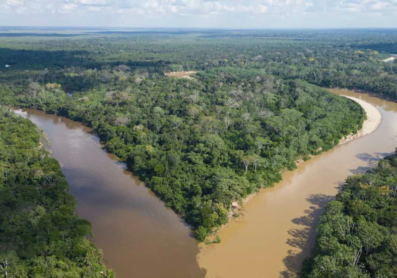 A conservação da floresta amazônica aumentou com a nova lei aprovada na Bolívia e vai proteger a mata e a vida . selvagem na região. - Foto: Conservation International.