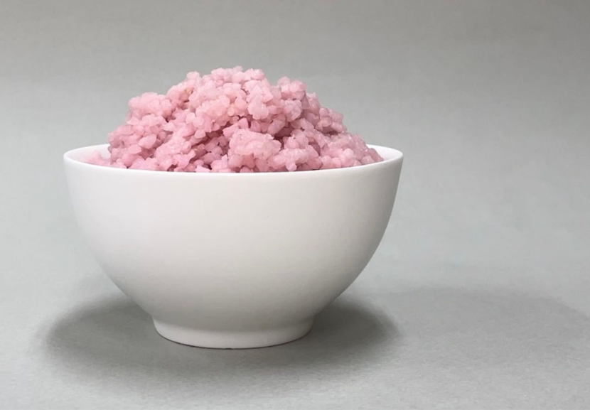 Possível solução para a fome global? Cientistas criam arroz rosa com proteína animal. - Foto: reprodução/Yonsei University