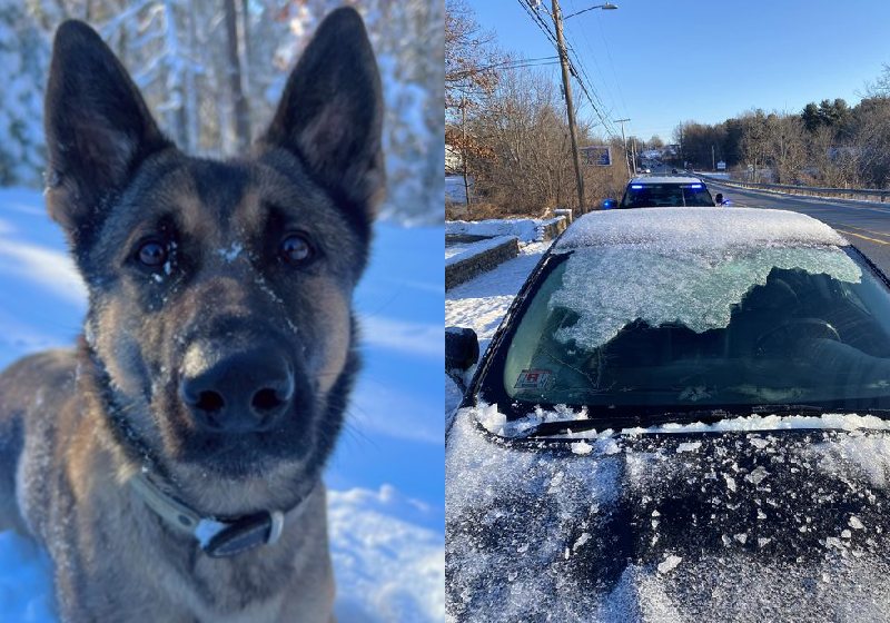 Pelo faro, o cão herói K9 Biza conseguiu localizar a criança perdida, que voltou para os braços da família e passa bem. - Foto: Auburn MA Police Department / Facebook