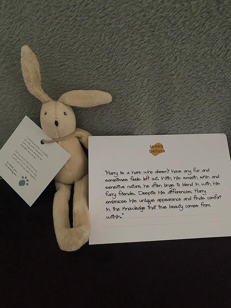  Ao doar o ursinho antigo, os antigos donos escrevem um cartão contando a história e as aventuras vividas com o velho amigo. - Foto: reprodução/Loved Before
