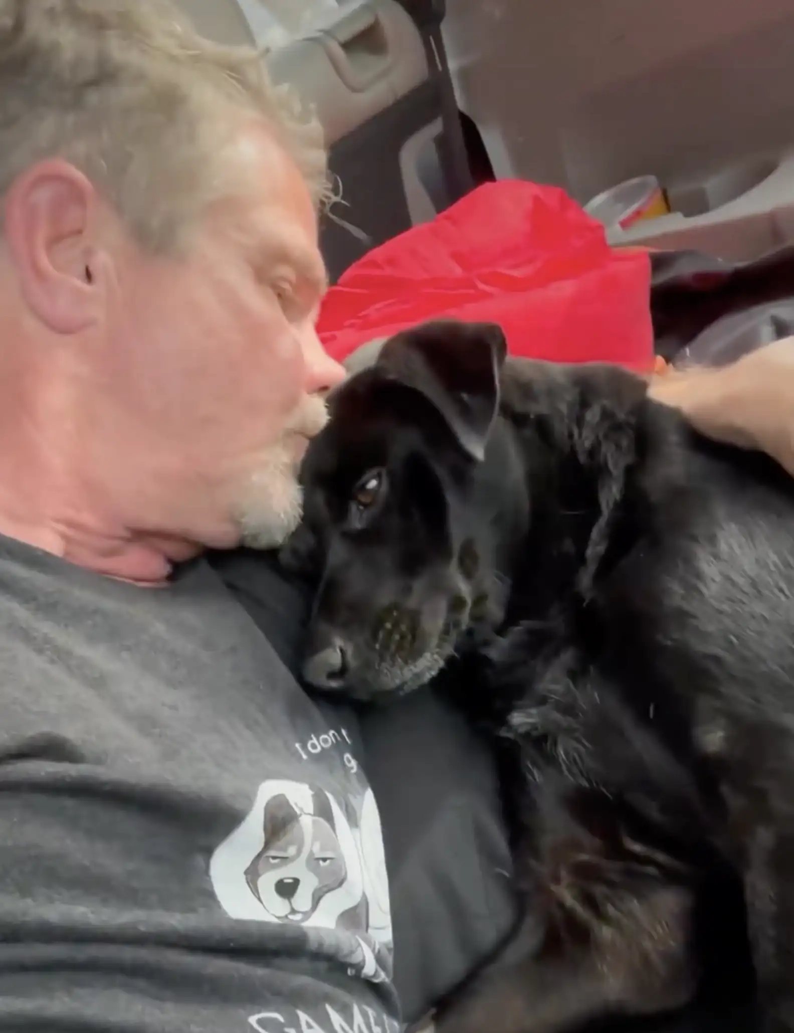 Depois de socorrido e tratado, Shiloh foi adotado por David, mesmo sem saber se ele voltaria a andar. -Foto: Sierra Pacific Furbabies