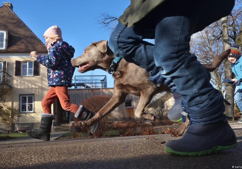 Crianças que tem cães se exercitam até oito vezes mais do que aqueles que não tem. Foto: Karl-Josef Hildenbrand.