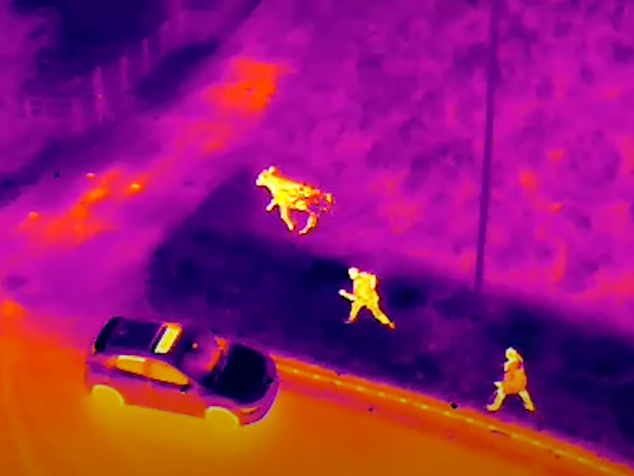 Ela usa drones com imagem térmica para achar os animais. - Foto: reprodução/SWNS 