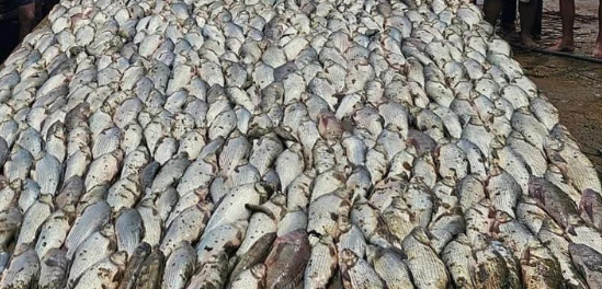 Já é a segunda vez que o casal Zanoti faz essa boa ação. A comunidade agradece! Foto: Arquivo pessoal.