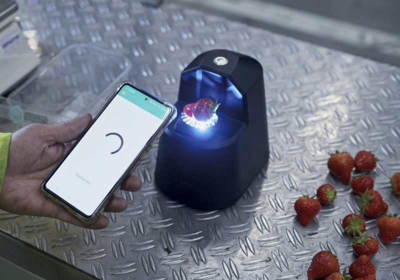 O scanner utiliza algoritmos específicos para identificar o prazo de validade das frutas vendidas em supermercados para ajudar o consumidor e evitar desperdício. - Foto: OneThird