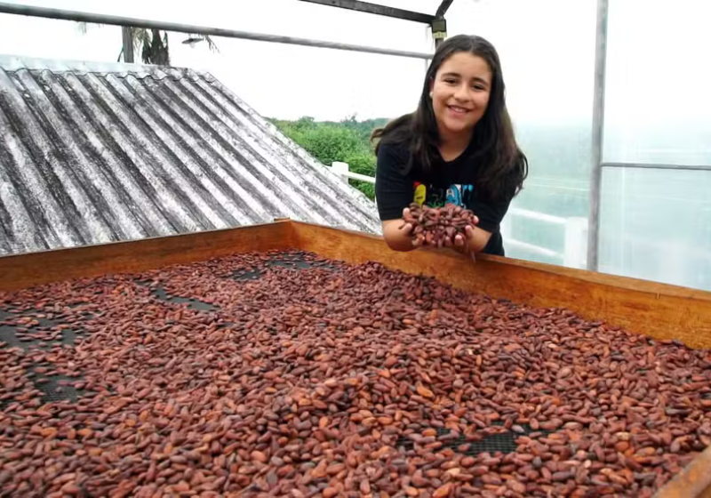 A menina Júlia teve uma sacada genial: transformou a produção de cacau da família em uma fábrica de chocolate. Foto: Globo Repórter.