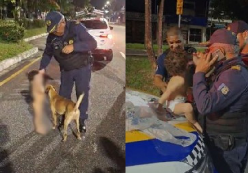 O cachorro caramelo protegeu a criança que fugiu de casa até a polícia chegar. Foto: Guarda Municipal de Belém.