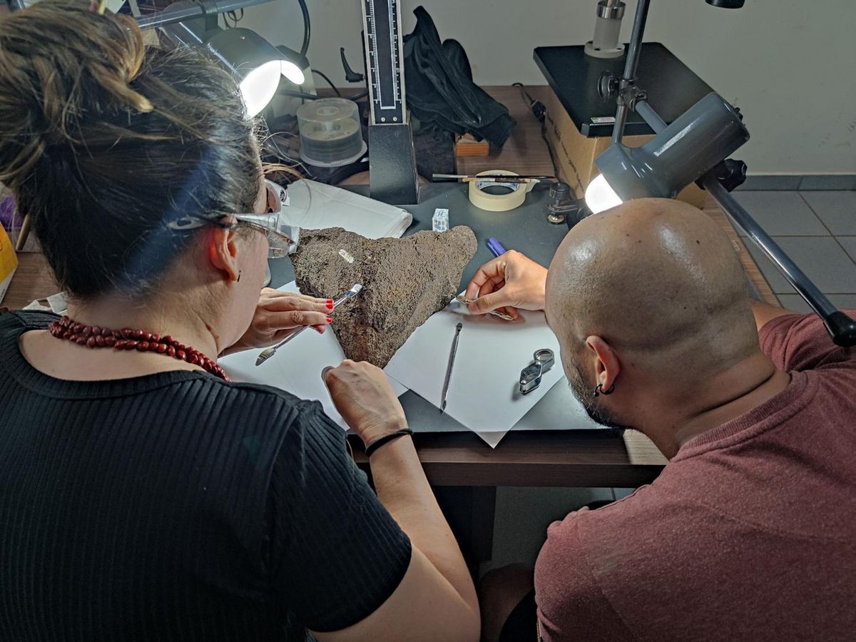 Diversas instituições brasileiras, incluindo a Universidade Federal de Rondônia, a de Minas Gerais e a Universidade de São Paulo, participaram da pesquisa. - Foto: Senckenberg/Universidade de Tubinga