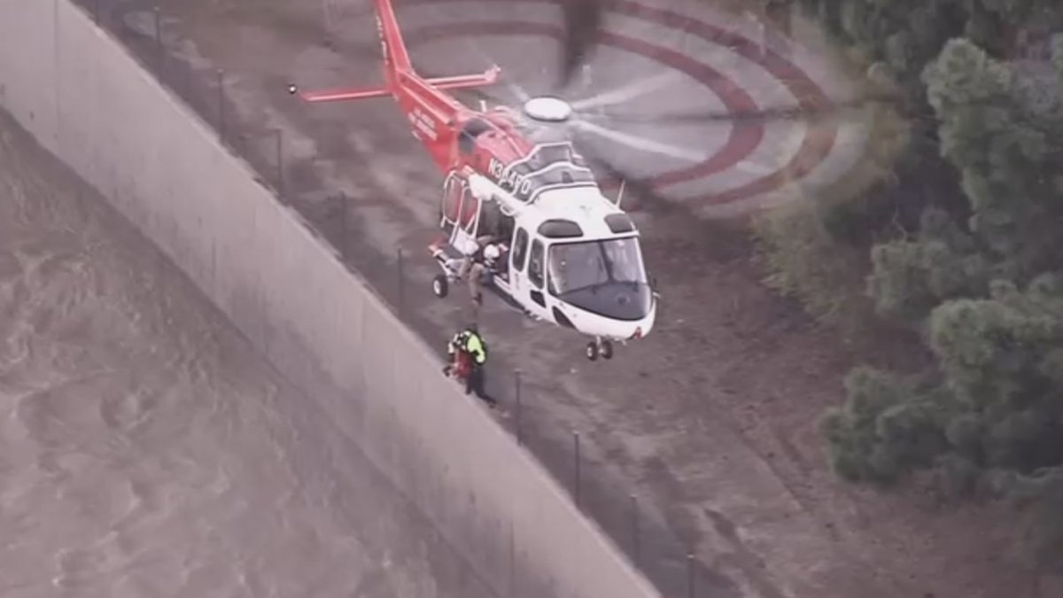 Depois do grande susto, a vítima foi levada para um hospital próximo. Ela passa bem. Foto: Fox Los Angeles.