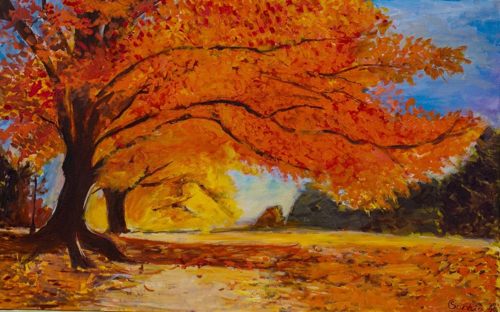 "Tiradentes" é o quadro que retrata uma árvore no interior de Minas Gerais. Foto: André Luiz.